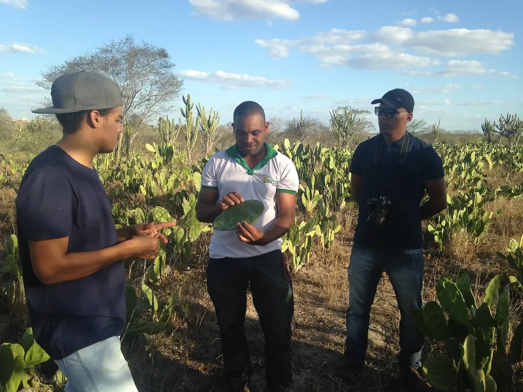 #18 – The Rural Field Study That Ran Out Of Money Mid-Analysis (Rede Jovem Rural, Flickr, CC BY 2.0)