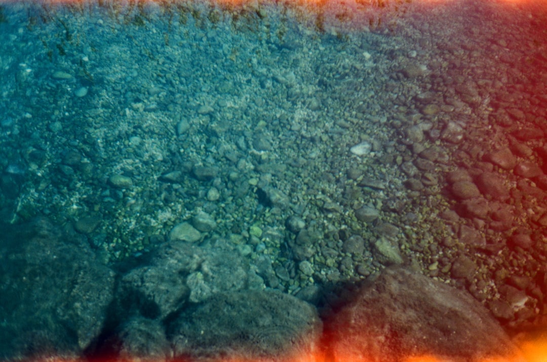 Underwater Volcanic Activity Happening Right Now (Image Credits: Unsplash)