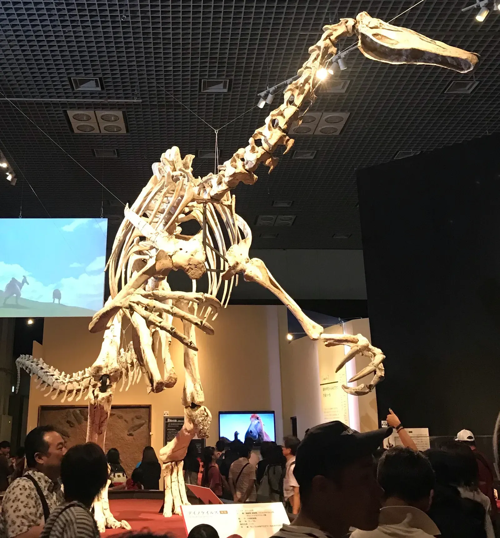 #8 - Deinocheirus: From Mystery Murder-Arms To Duck-Billed Giant (By ケラトプスユウタ, CC BY-SA 4.0)