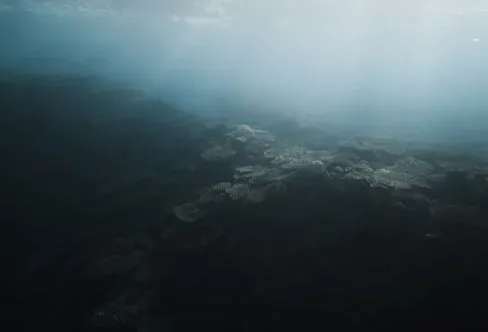 Conclusion: A Dark Abyss That Still Illuminates Our Place On Earth (Image Credits: Pexels)