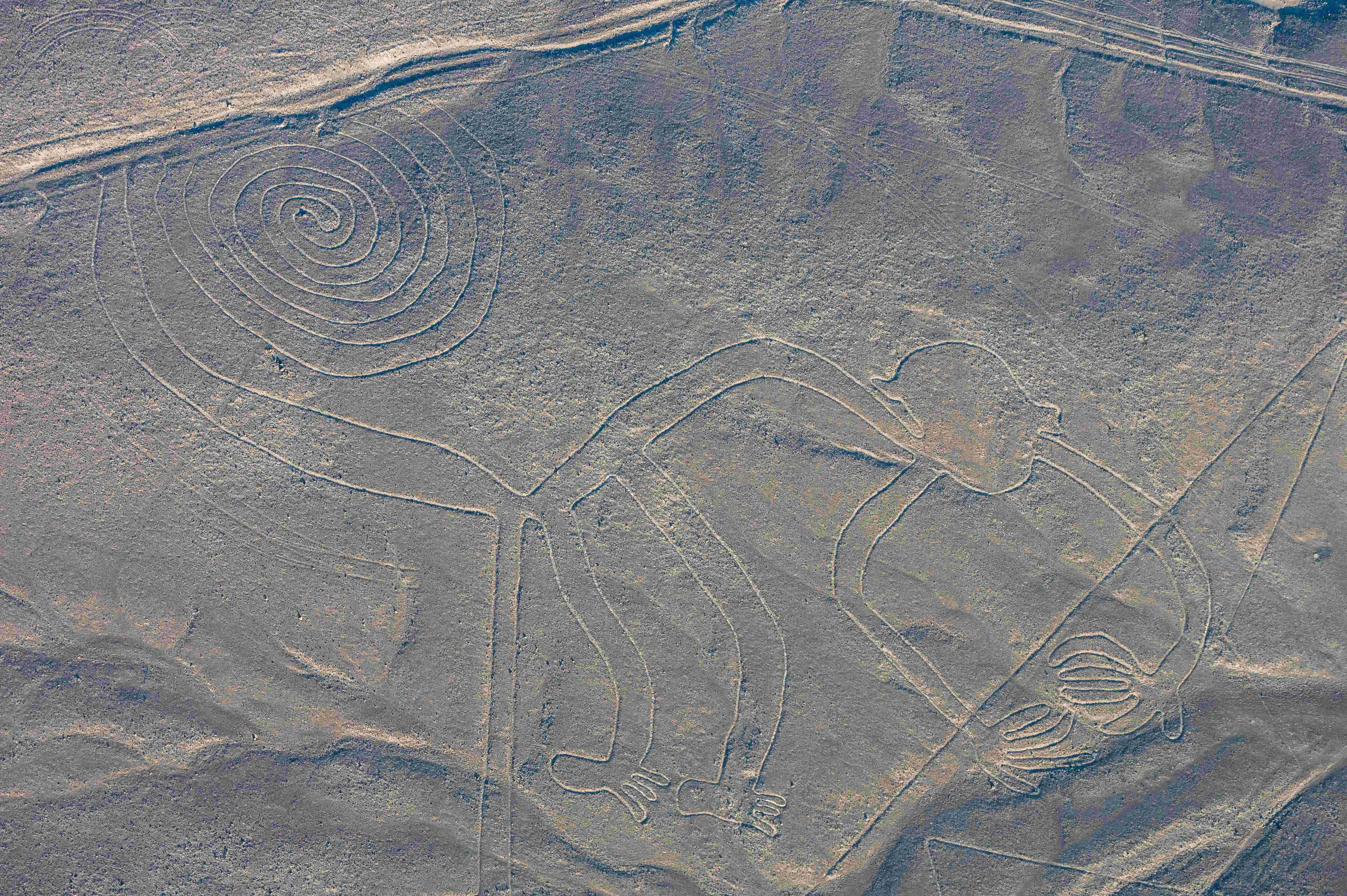 The Nazca Lines: Messages for the Gods or Ancient Runway? (Image Credits: Wikimedia)