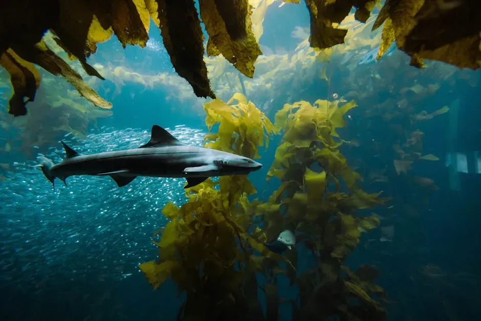 4. Sharks Keep Oceans Healthy By Targeting The Weak And Sick (Image Credits: Pexels)