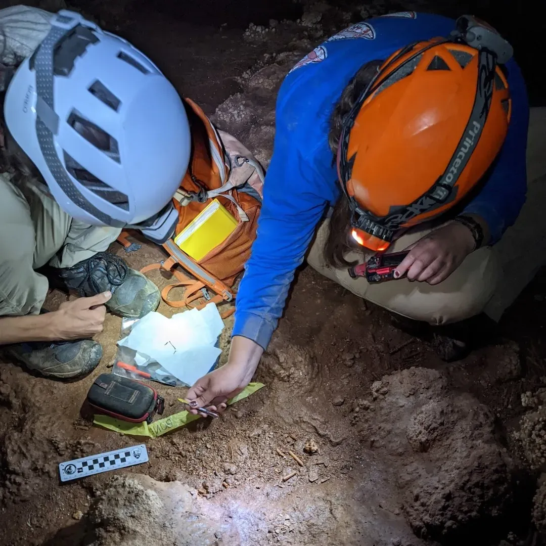#12 - Human Activity That Was Actually Animal Behavior All Along (Paleontologist interns assess a Pleistocene carnivore den at the Grand Canyon-Parashant National Monument, Public domain)