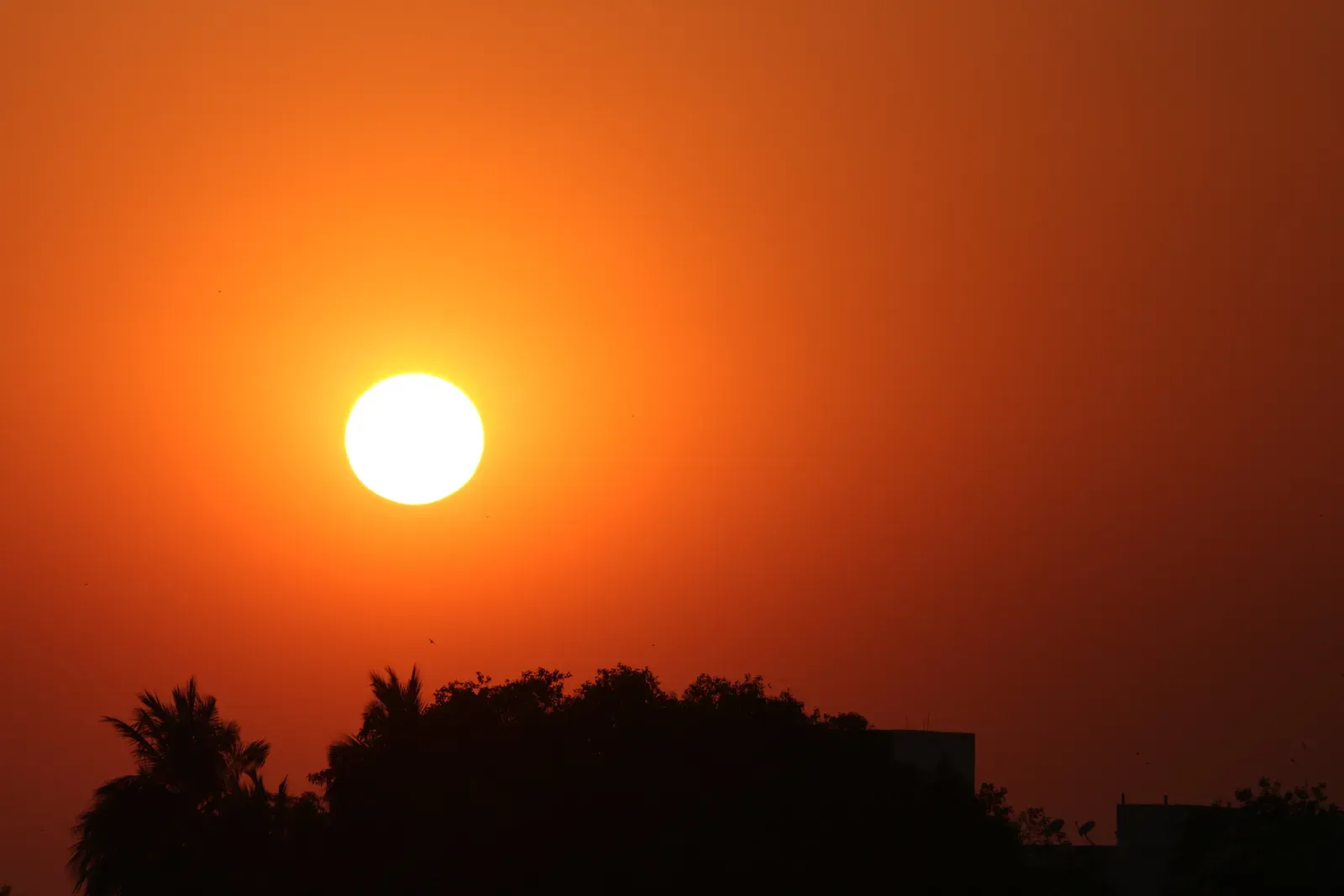 Conclusion: Living Well Under a Mortal Star (By Hari Samynaath, CC BY 4.0)