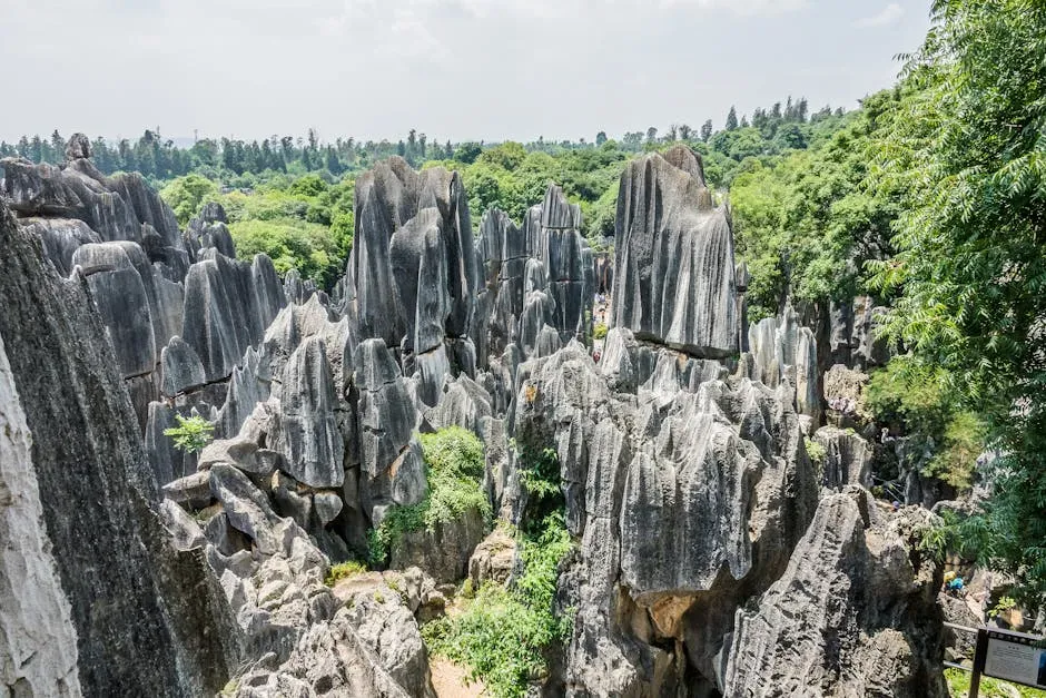 The Stone Forest (Shilin), China (Image Credits: Pexels)