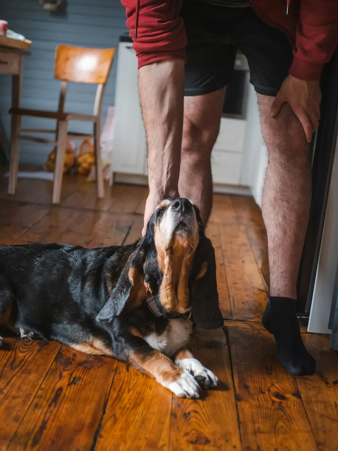 Scent-Marking: Why Your Dog Is “Chemically Claiming” You (Image Credits: Unsplash)