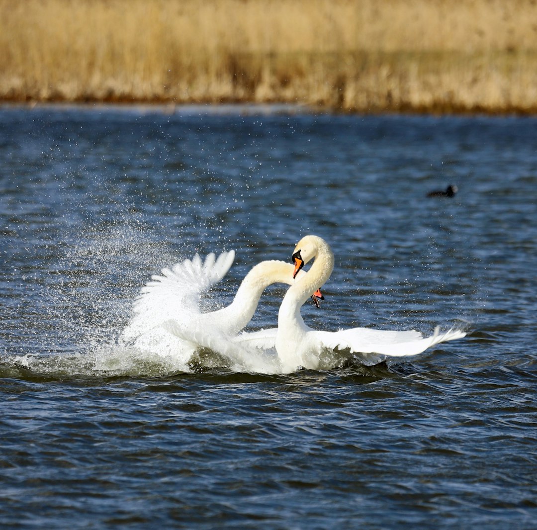 The Hidden Clues (Image Credits: Unsplash)