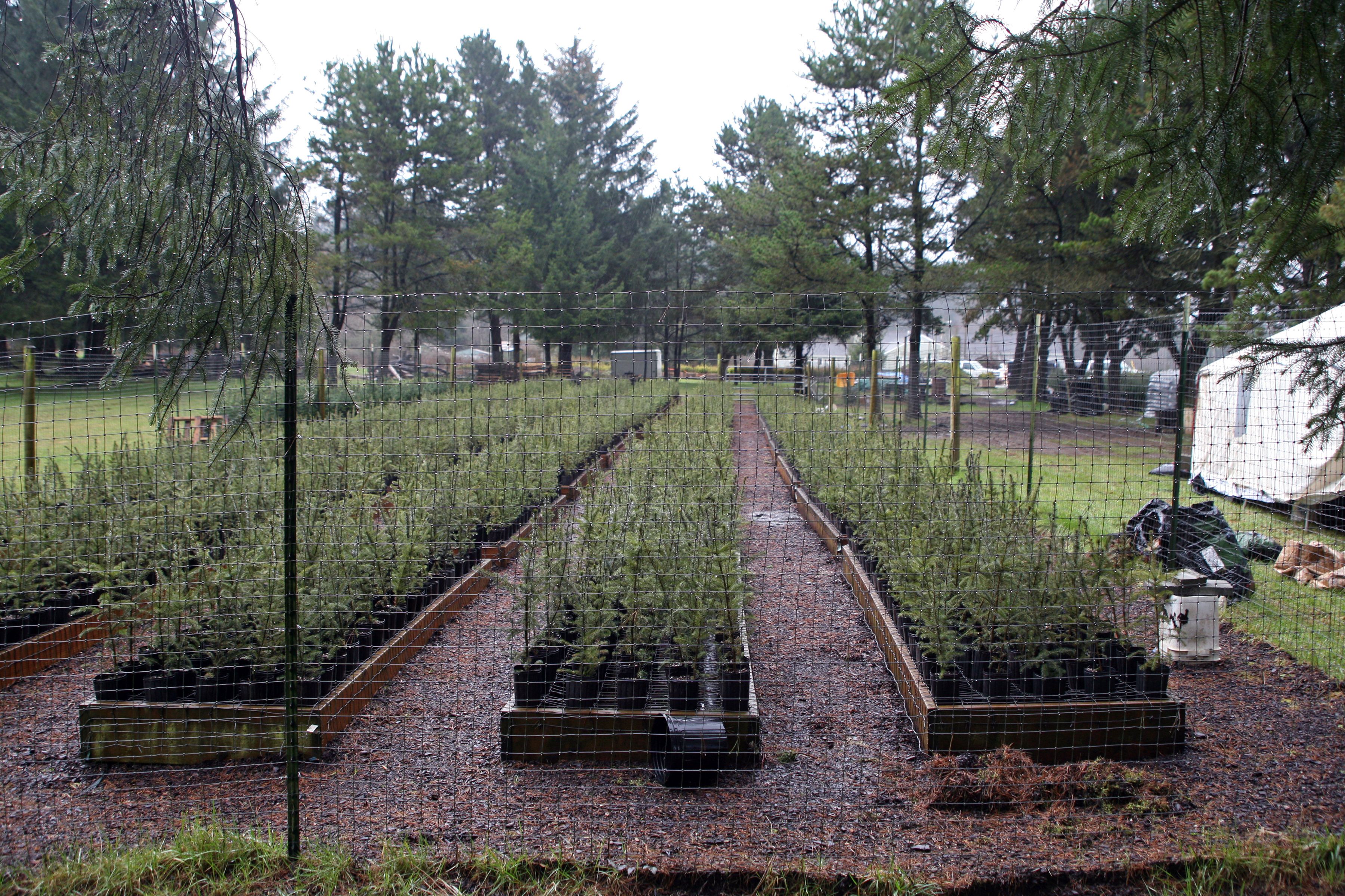 The Future Landscape: Tech, Tough Choices, and How You Can Help (Image Credits: Wikimedia)