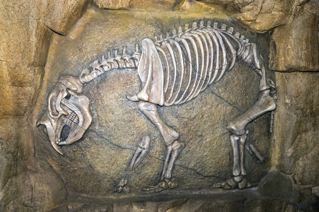 Conclusion: Your Extinct Twin Is Really a Map of Your Survival Code (Image Credits: Unsplash)