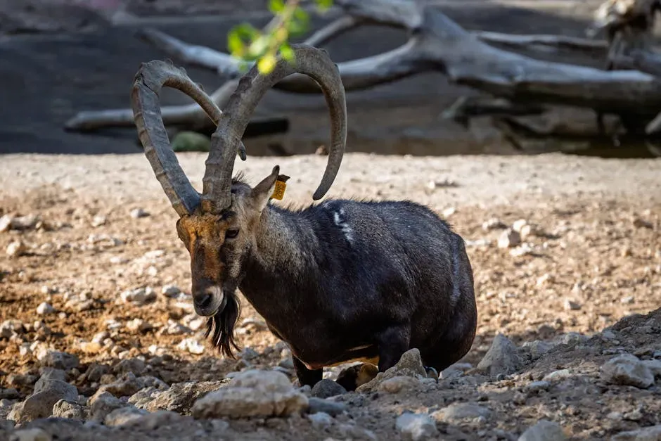 Conclusion: What Extreme Creatures Teach You About Resilience (Image Credits: Pexels)