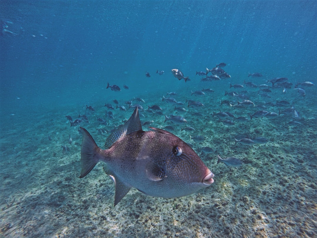 From Ancient Tools to Modern Science (Image Credits: Unsplash)