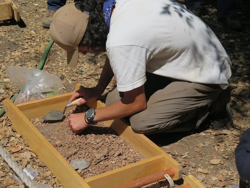 #2 - Soil Texture Tips Off Excavators Before Color Does (Image Credits: Flickr)
