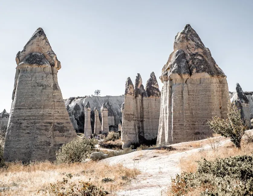 Conclusion: The Planet Is Still Full of Secrets (Image Credits: Pexels)