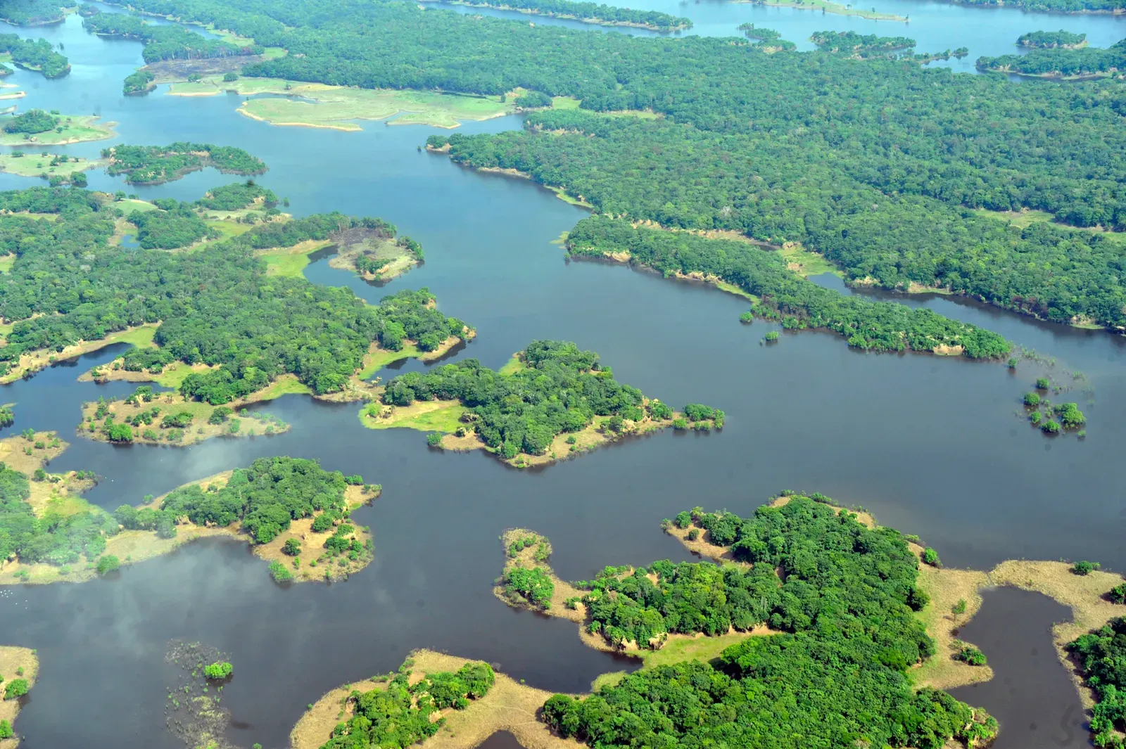 Rio Solimões and Rio Japurá – Western Amazon, Brazil (Vista áerea do rio Solimões, no estado do Amazonas, CC BY 2.0)