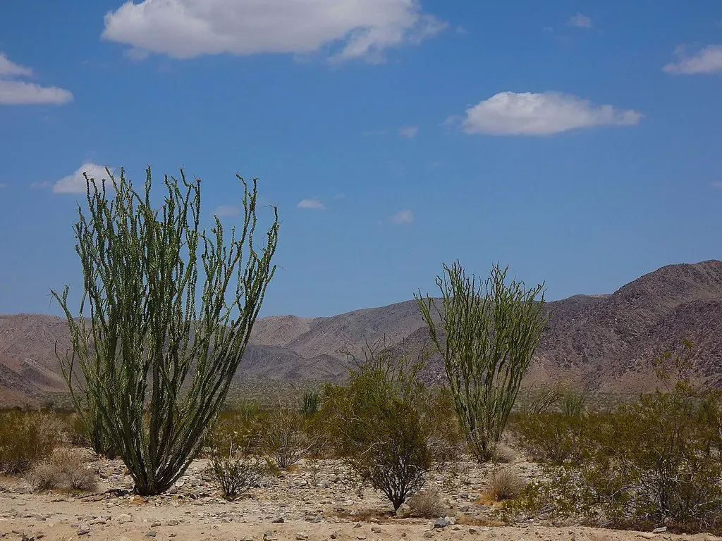 A System Built for a Climate That No Longer Exists (Image Credits: Flickr)