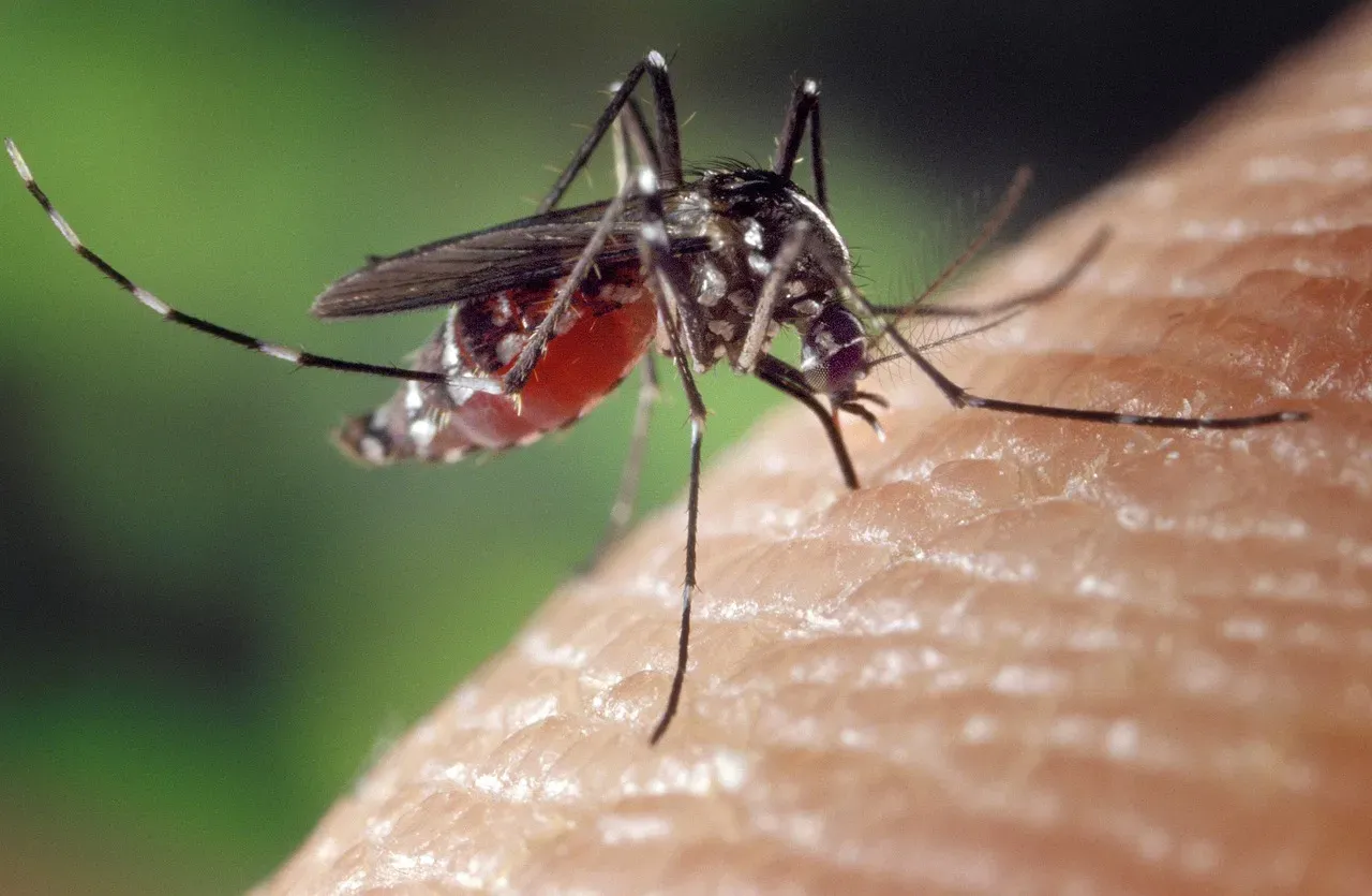 Human Habits Help Mosquitoes Thrive (Image Credits: Pixabay)