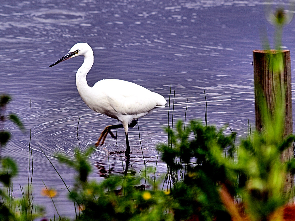 Looking Forward - What the Data Tells Us (Image Credits: Flickr)