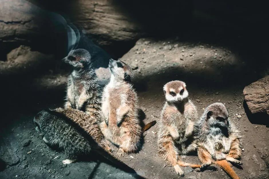 From Denial to Curiosity: How Science Changed Its Mind (Image Credits: Pexels)