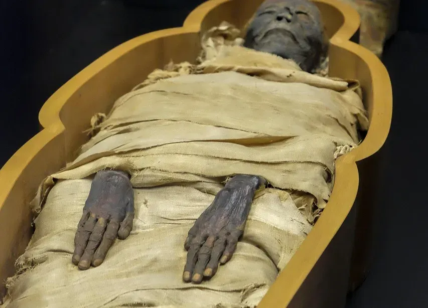 7. Unwrapping Mummies in Front of Audiences: When Curiosity Turned Grotesque (Image Credits: Pixabay)