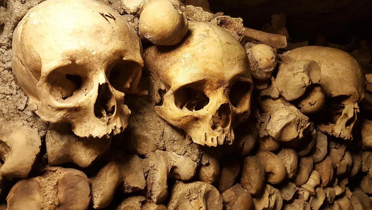 11. Bodies Preserved In Situ In Catacombs And Ossuaries (Image Credits: Pixabay)