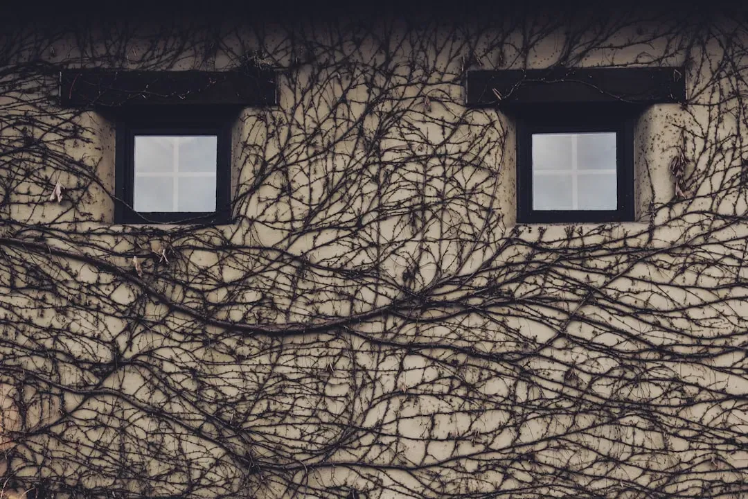 The Unsettling Moment You See a Face That Isn’t There (Image Credits: Unsplash)