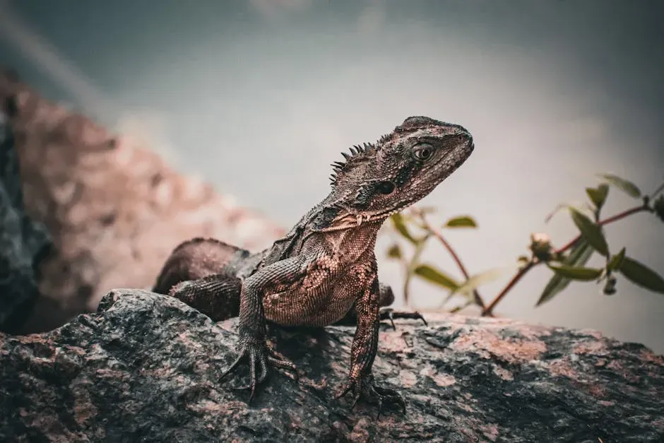 The Tuatara: New Zealand's Living Relic (Image Credits: Pexels)