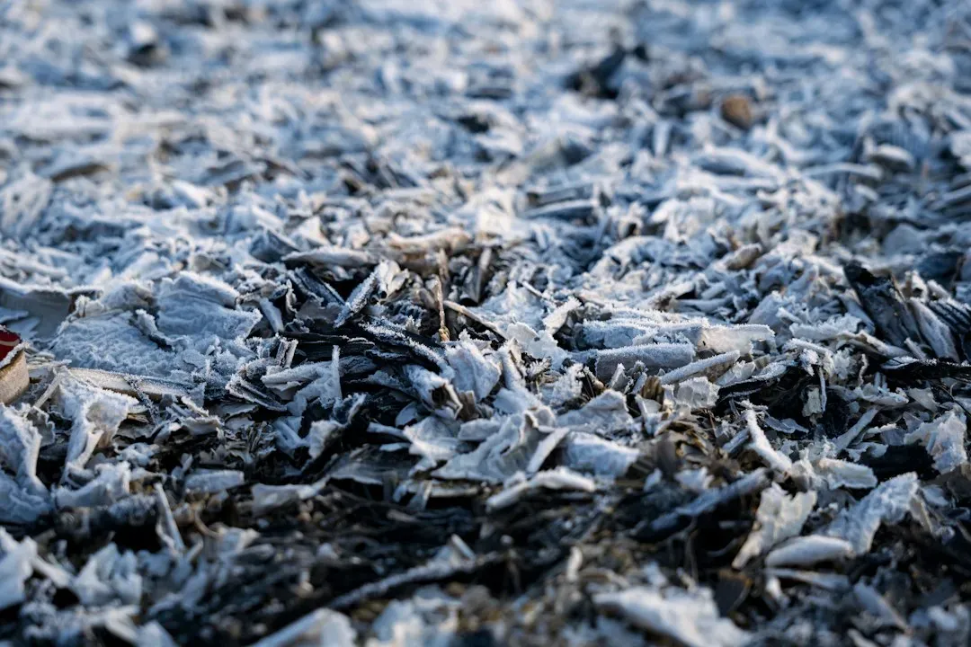 #6 Clay Pipes, Bricks, And Building Debris (Image Credits: Unsplash)