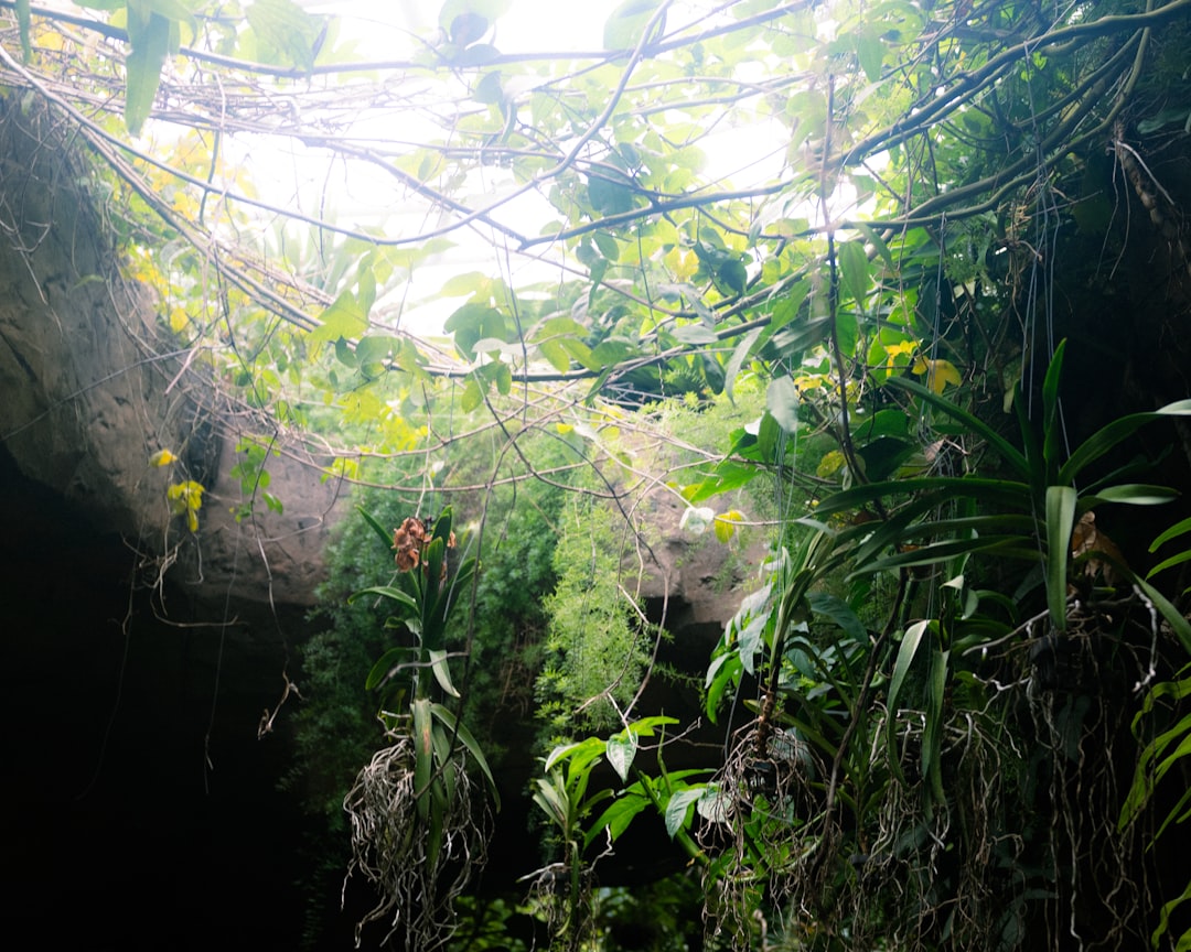 Jewel Cave, South Dakota (Image Credits: Unsplash)