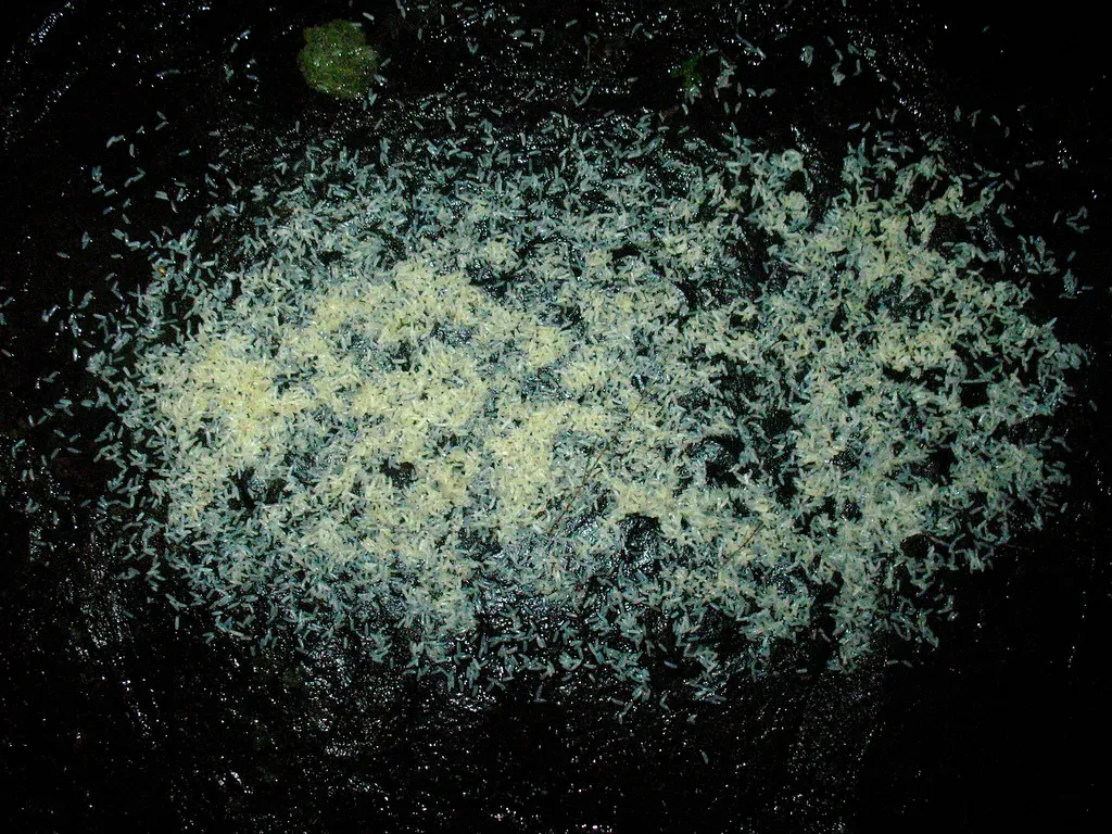 3. Dark Matter May Be Lighting Up the Galaxy's Heart Like a Cosmic Beacon (Image Credits: Flickr)