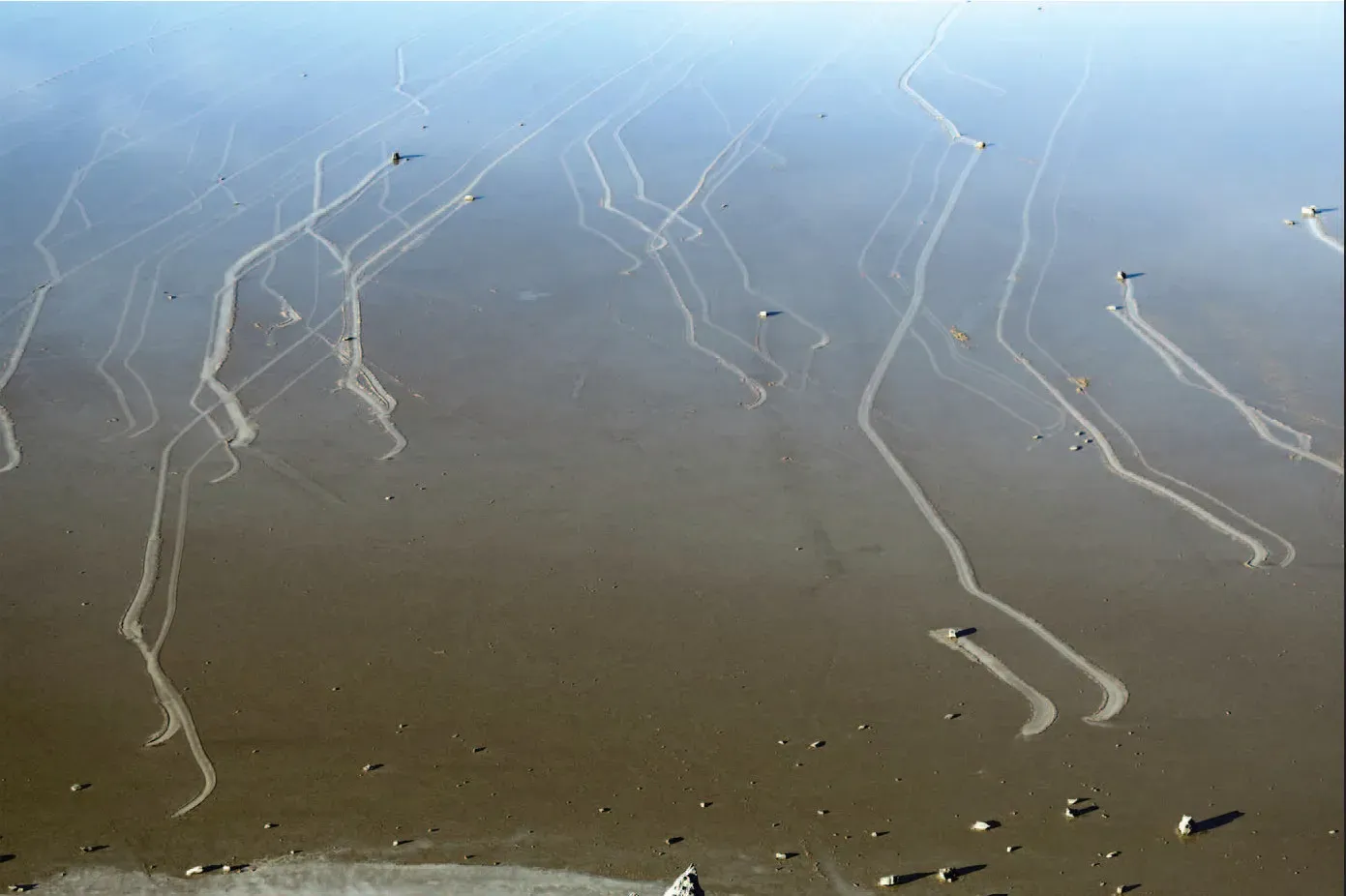 8. The Moving Stones of Racetrack Playa (By Richard D. Norris, James M. Norris, Ralph D. Lorenz, Jib Ray, Brian Jackson, CC BY 1.0)