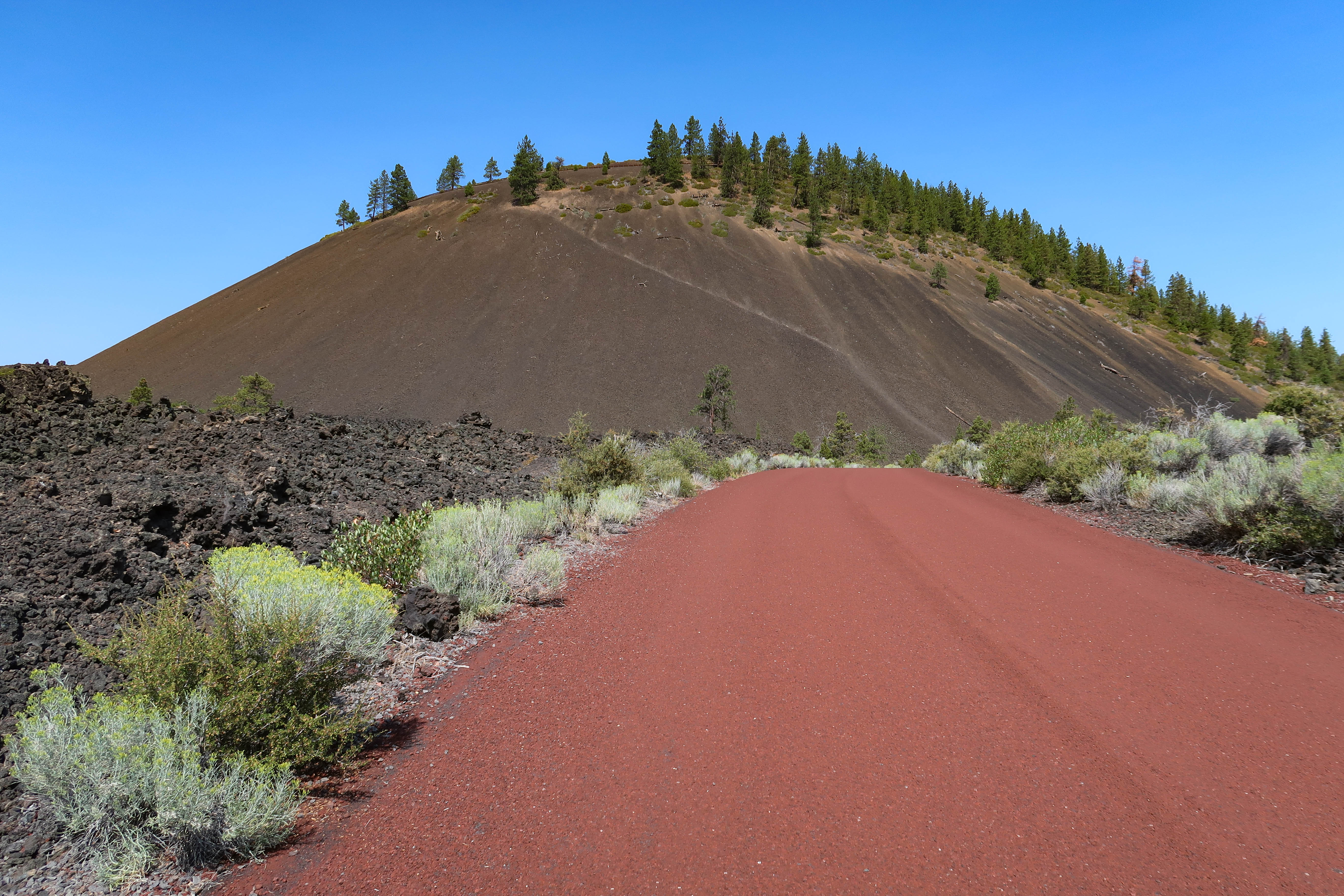 Life on Fresh Rock: How Ecosystems Start Over (Image Credits: Wikimedia)