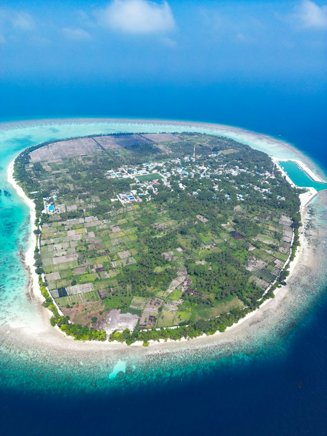 What We Know of Daily Life (Image Credits: Unsplash)