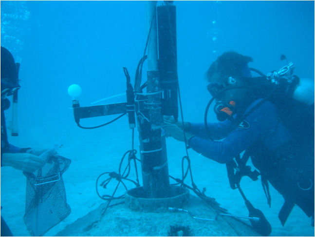 How You Can Help (Image Credits: Wikimedia)