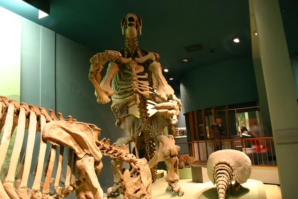 #14 - The Giant Ground Sloths That Outlived the Ice Age (Ryan Somma, Flickr, CC BY-SA 2.0)