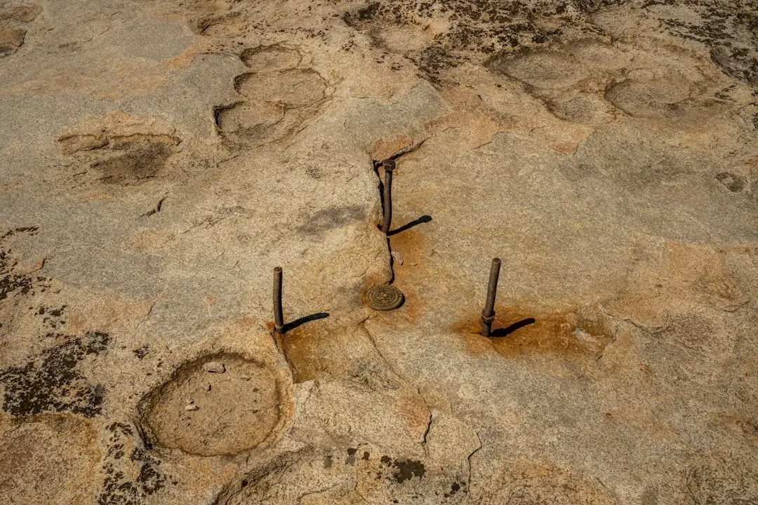 How Dinosaur Footprints Become Family Time Capsules (Image Credits: Unsplash)