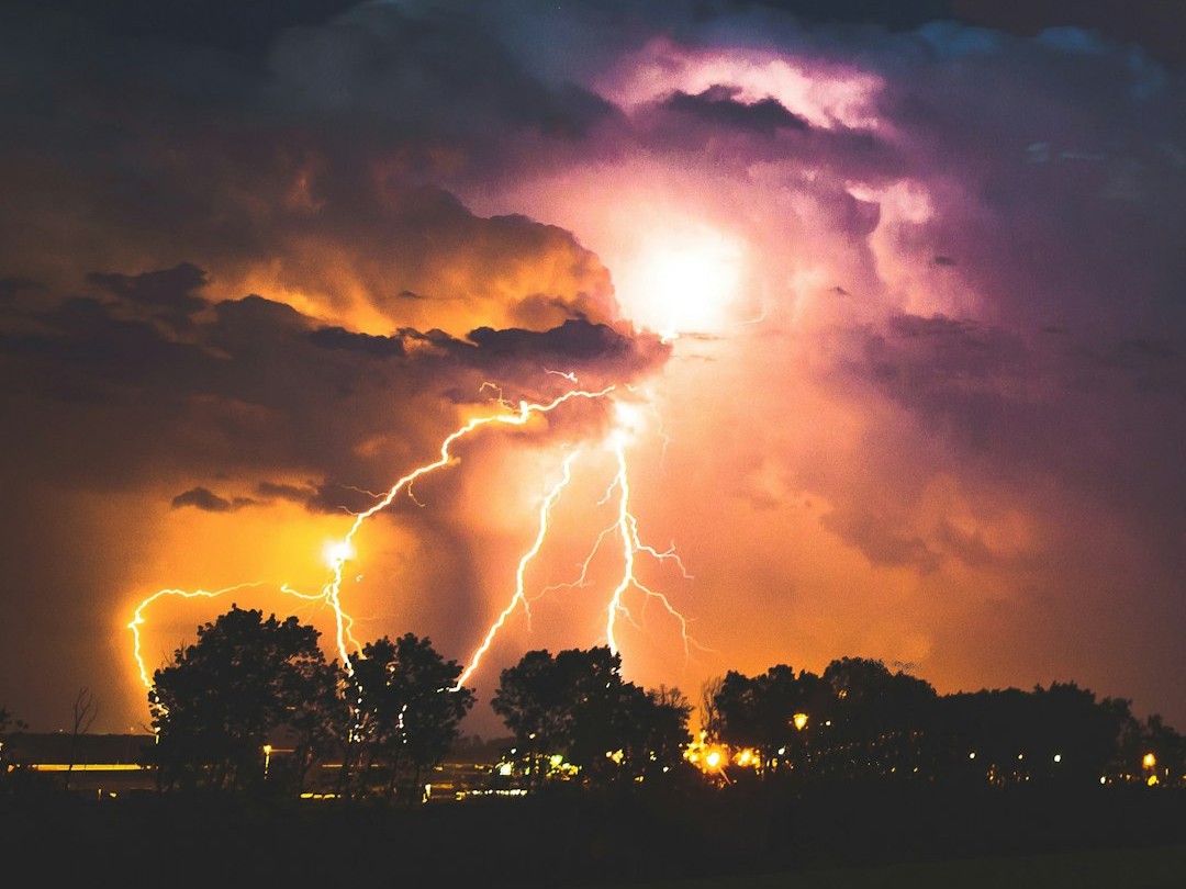 Global Perspectives (Image Credits: Unsplash)