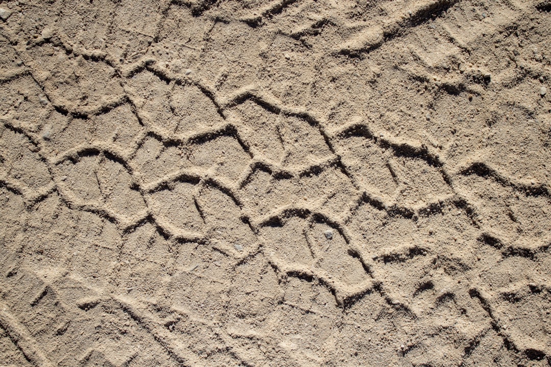 Fragility in Plain Sight (Image Credits: Unsplash)