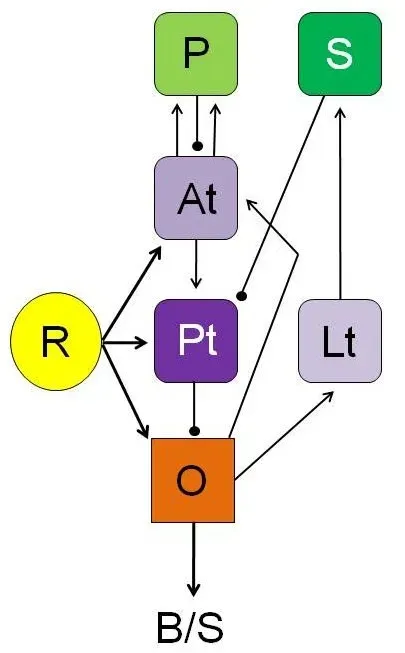 From Neural Storms to Inner Worlds: How the Brain Builds Reality (Image Credits: Wikimedia)