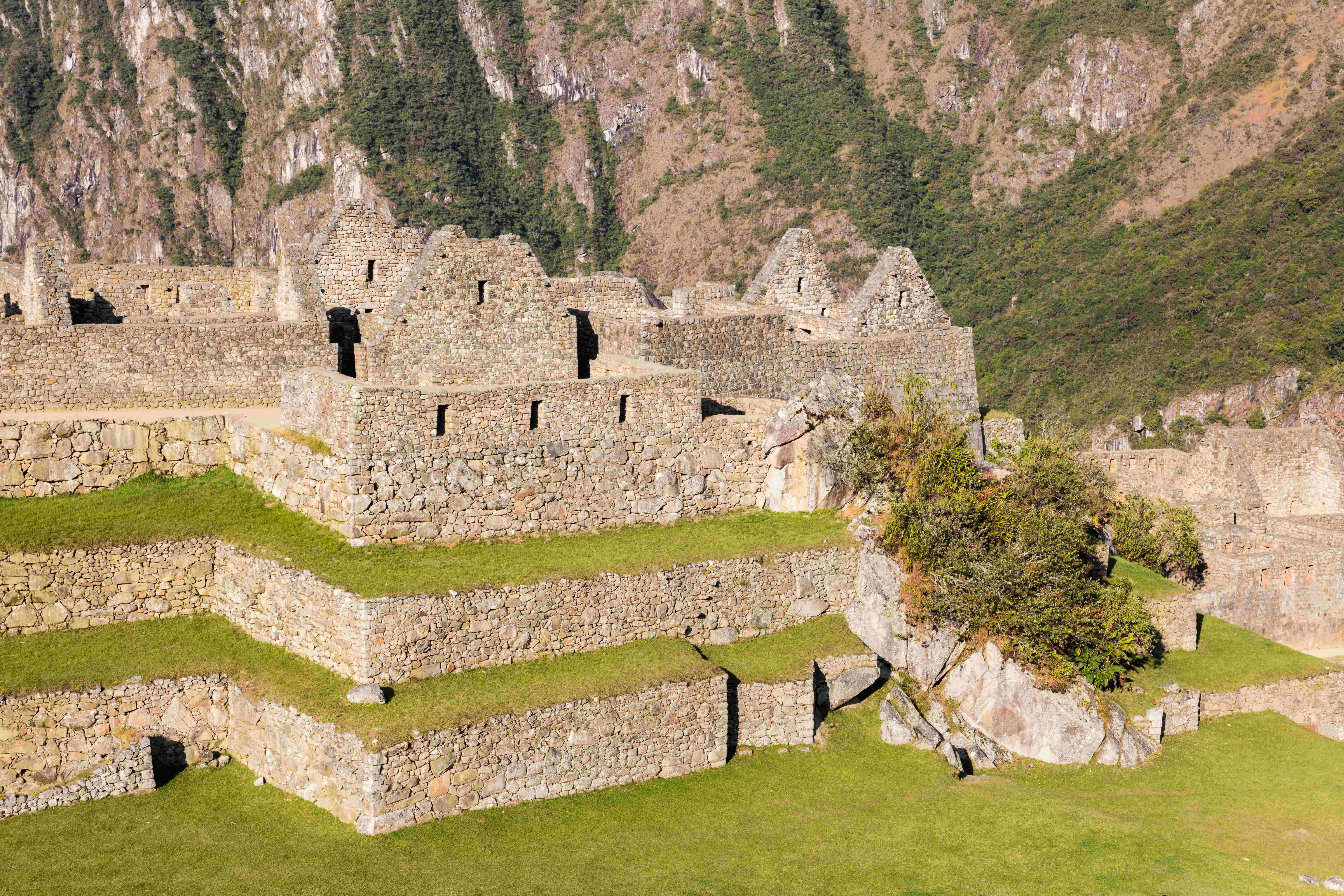 Global Perspectives (Image Credits: Wikimedia)