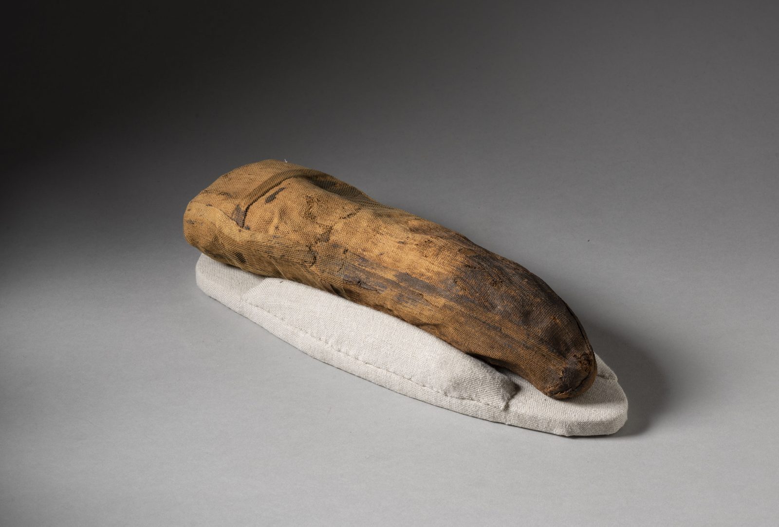 Beyond the Golden Mask: Mummies Reveal Real Bodies, Real Diseases (Image Credits: Wikimedia)