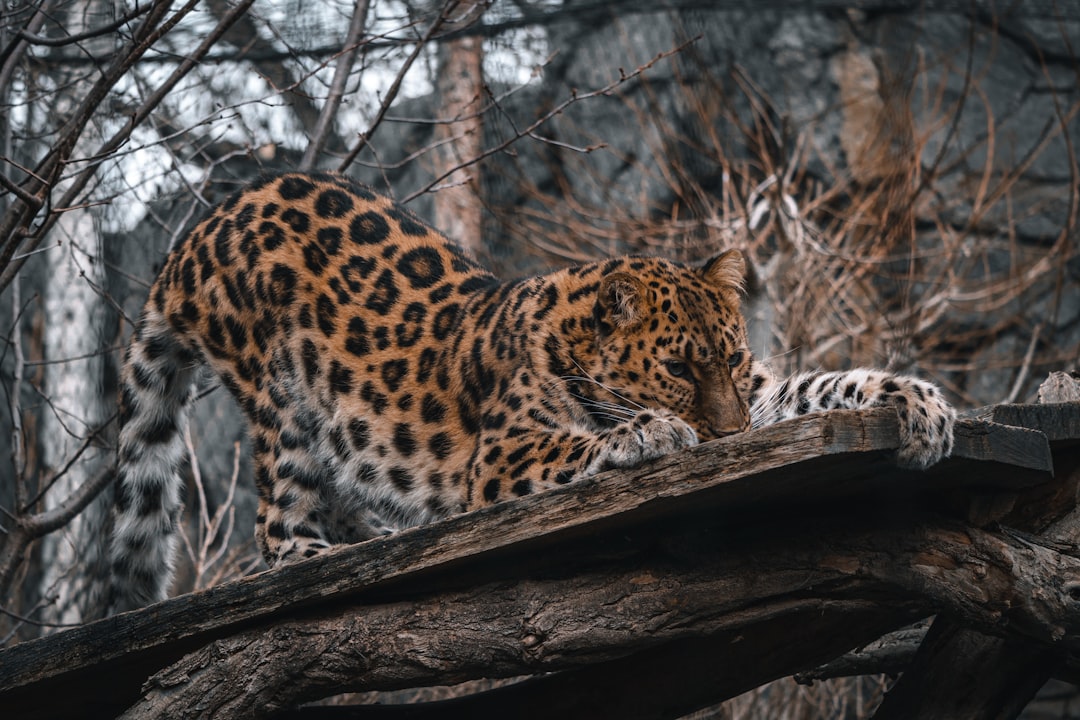Unexpected Public Health Heroes (Image Credits: Unsplash)
