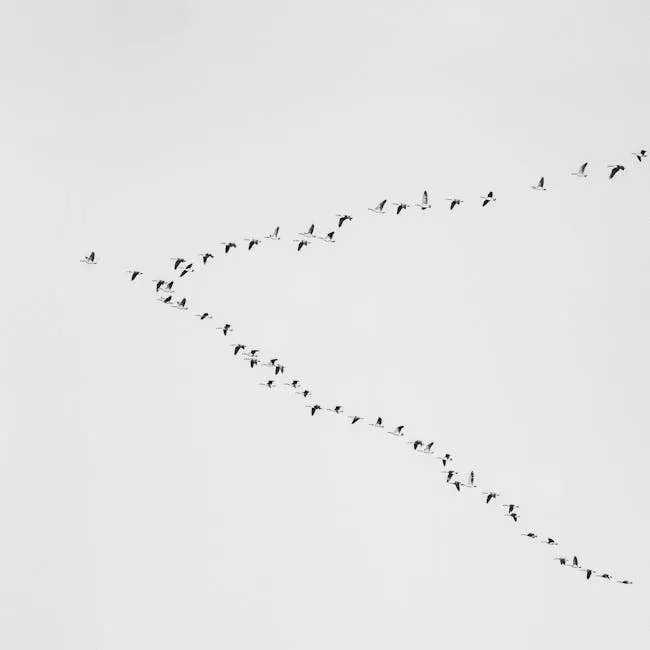 Path Integration: The Animal Dead Reckoning System (Image Credits: Pexels)