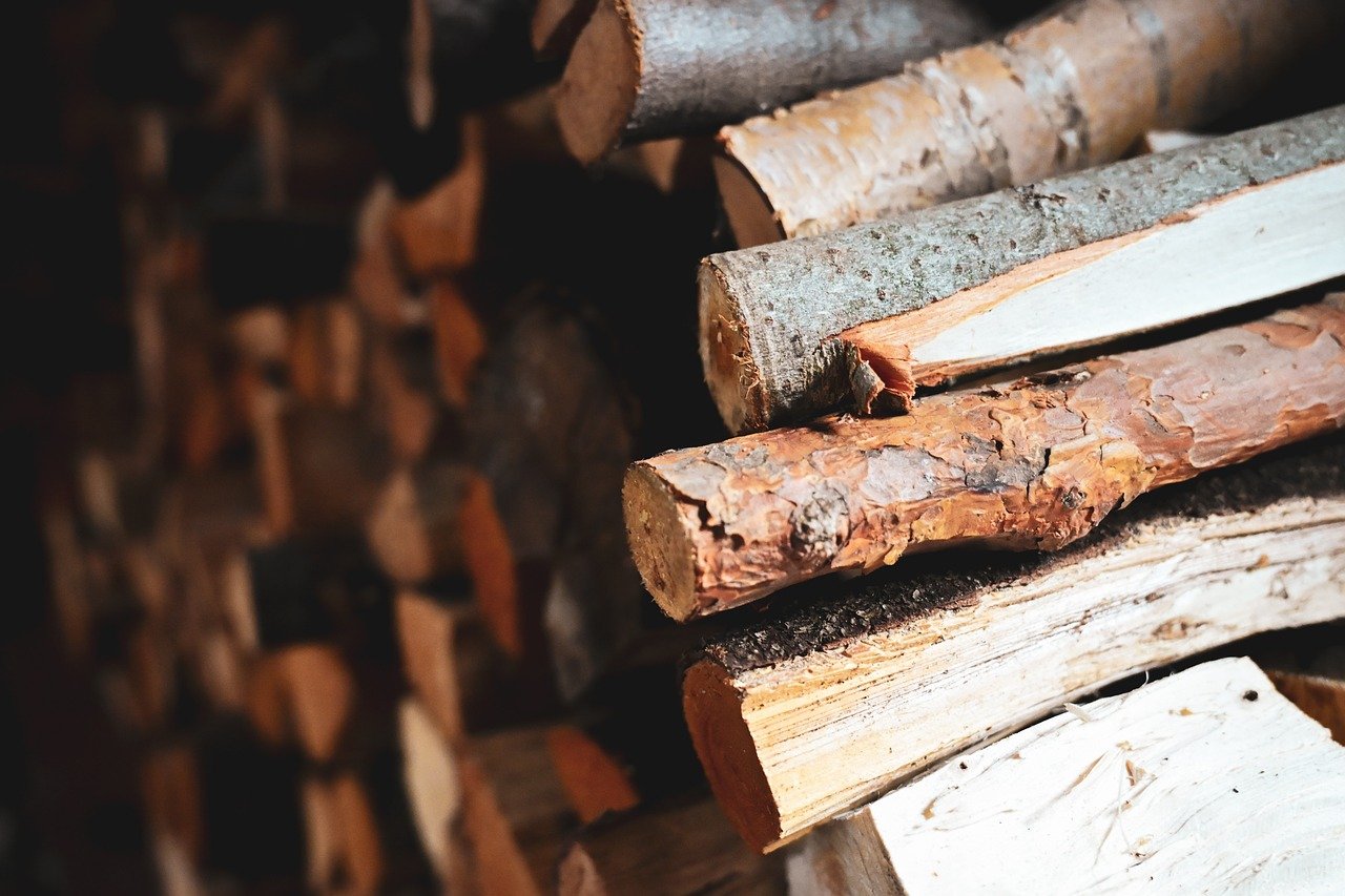 Willow Bark: Nature's Original Aspirin (Image Credits: Pixabay)