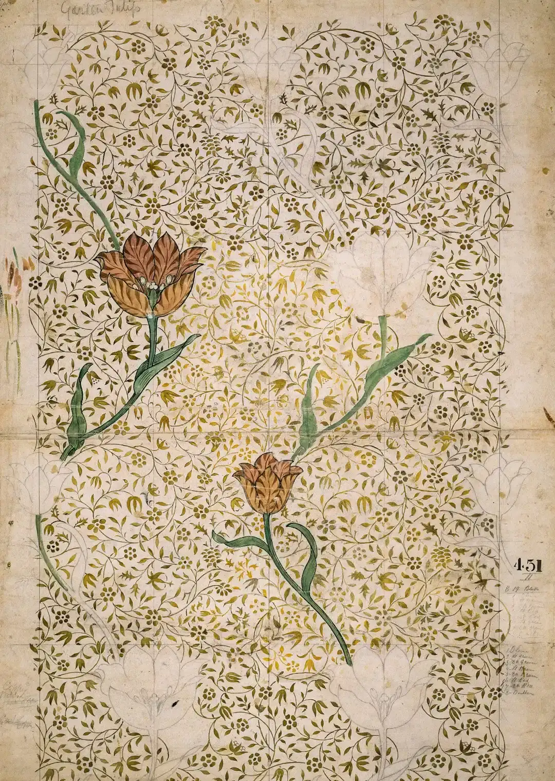 The Voynich Manuscript: The Book No One Can Read (Image Credits: Unsplash)