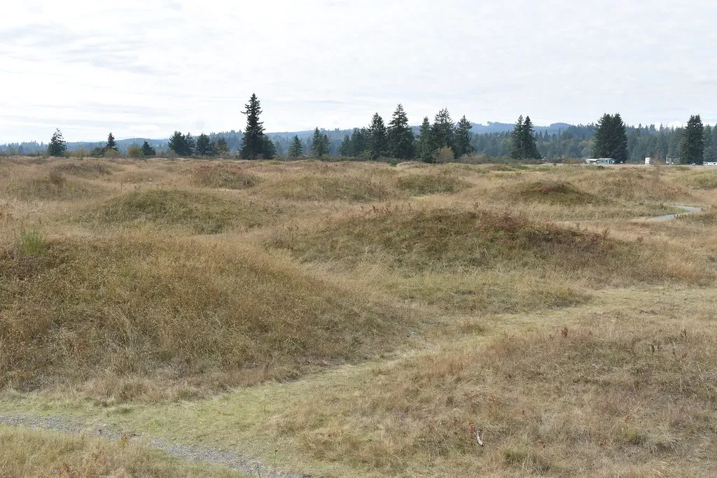 5. The Mima Mounds, Washington State, USA (Image Credits: Flickr)