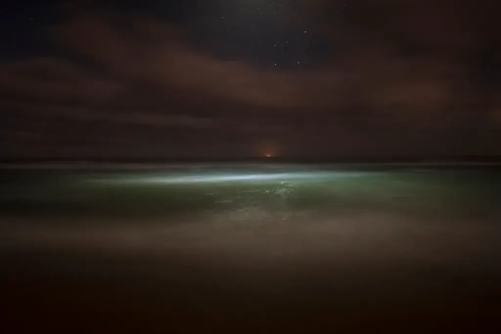 Bioluminescent Waters Along the Coasts (Image Credits: Rawpixel)