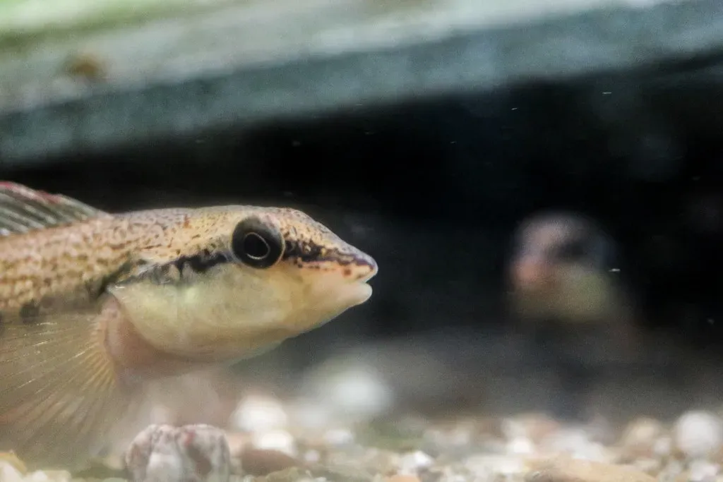 Conclusion (Image Credits: Flickr)