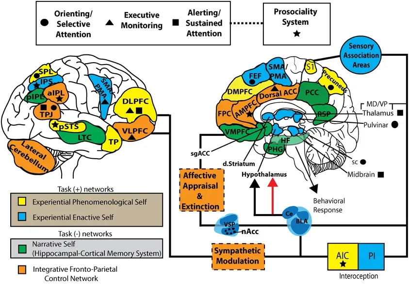Everyday Experiments: Small Shifts With Big Psychological Payoffs (Image Credits: Wikimedia)