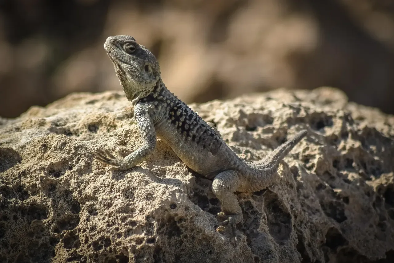 Conclusion (Image Credits: Pixabay)