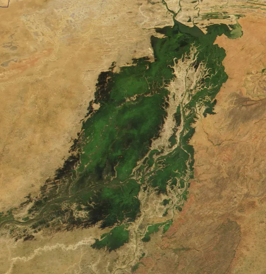 A Green Sahara: Lakes, Rivers, and Teeming Wildlife (Image Credits: Wikimedia)